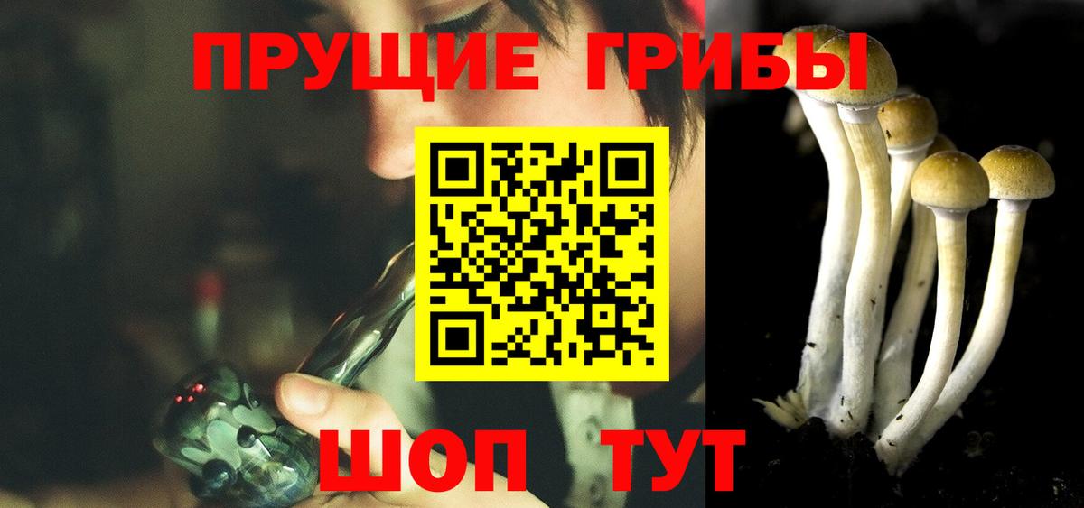 Галлюциногенные грибы Magic Shrooms Тамбов